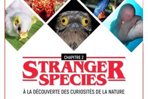 photo Stranger species | Chapitre 2 : A la découverte des curiosités de la nature